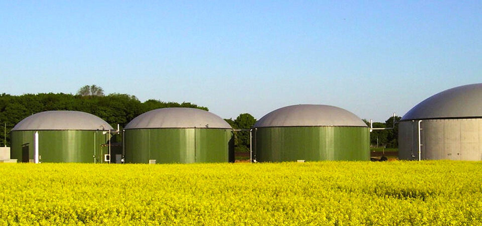 Biogasna  postrojenja