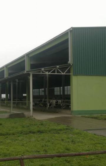 STARI TAMIŠ   Pančevo