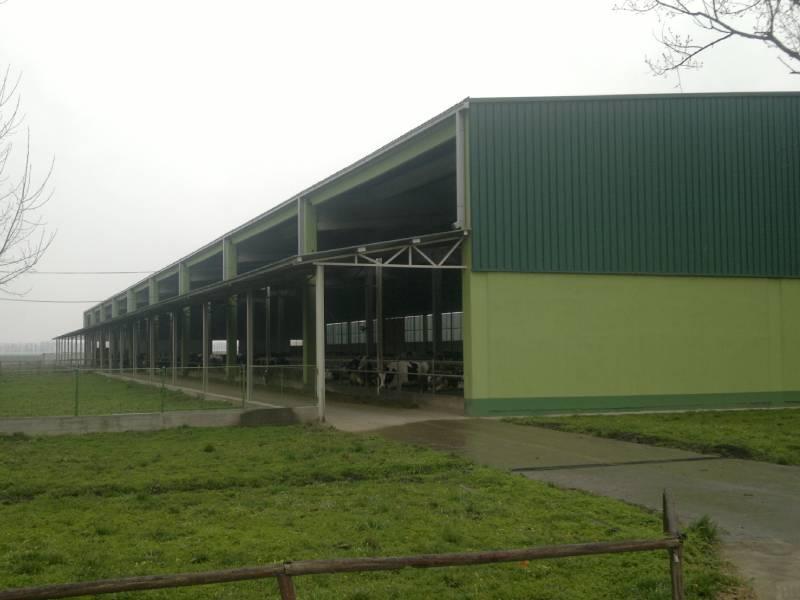 STARI TAMIŠ   Pančevo